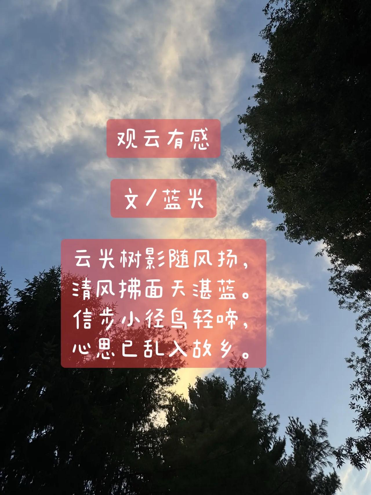 蓝光丨观云有感。观云有感文／蓝光云光树影随风扬，清风拂面天湛蓝。信步小径鸟轻啼，