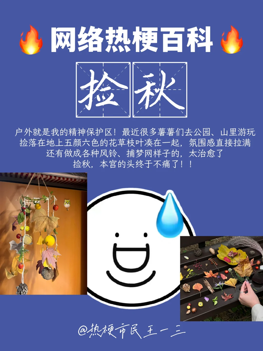 网络热梗流行语百科✅捡秋，本宫的头不痛了