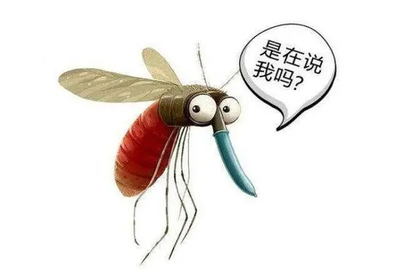 #每天一条冷知识# 蚊子也会轮岗轮休，我们常见的蚊子库蚊19：00-21：00达