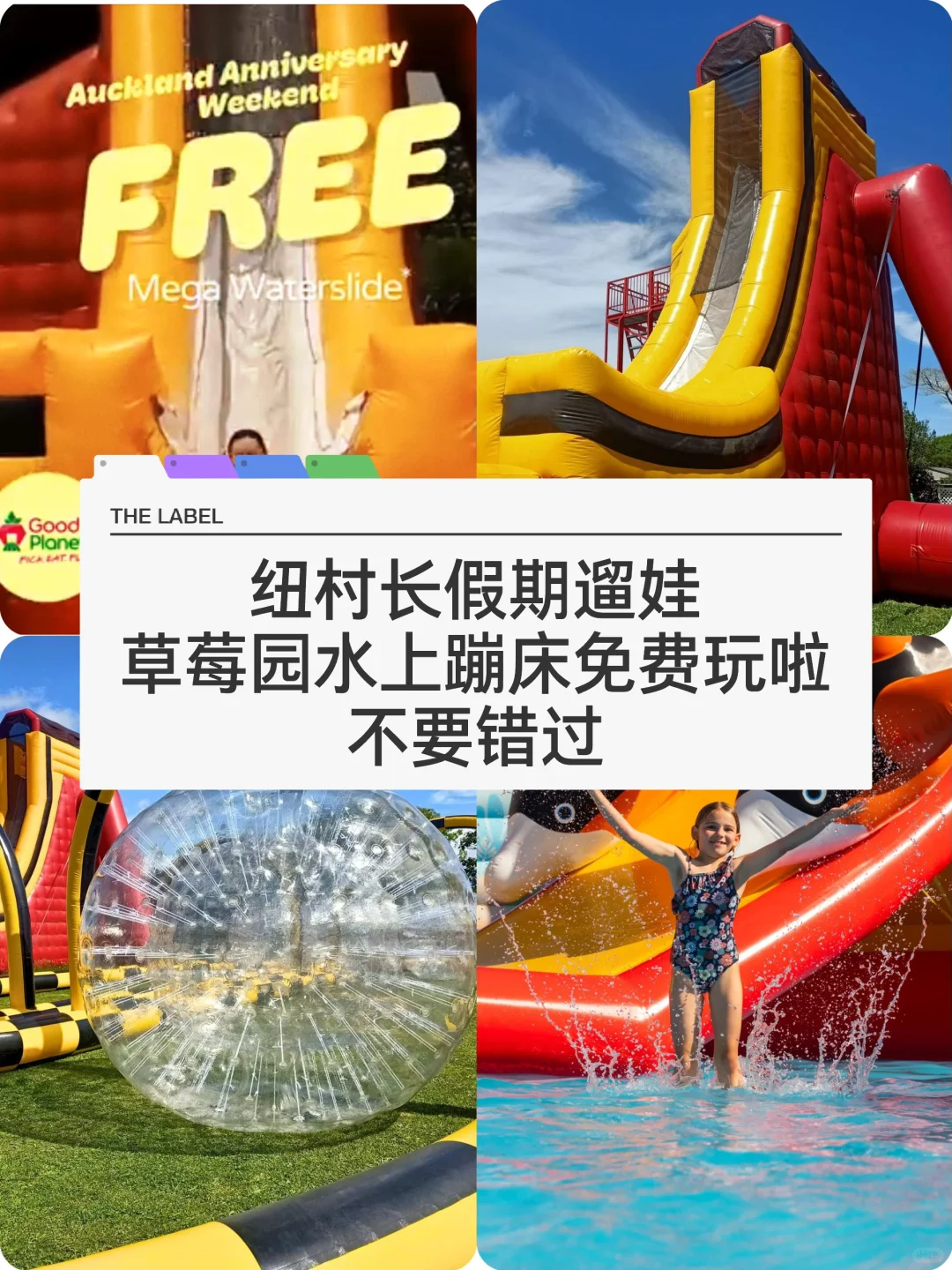 🇳🇿纽村假期遛娃 草莓园水上滑梯免费开放