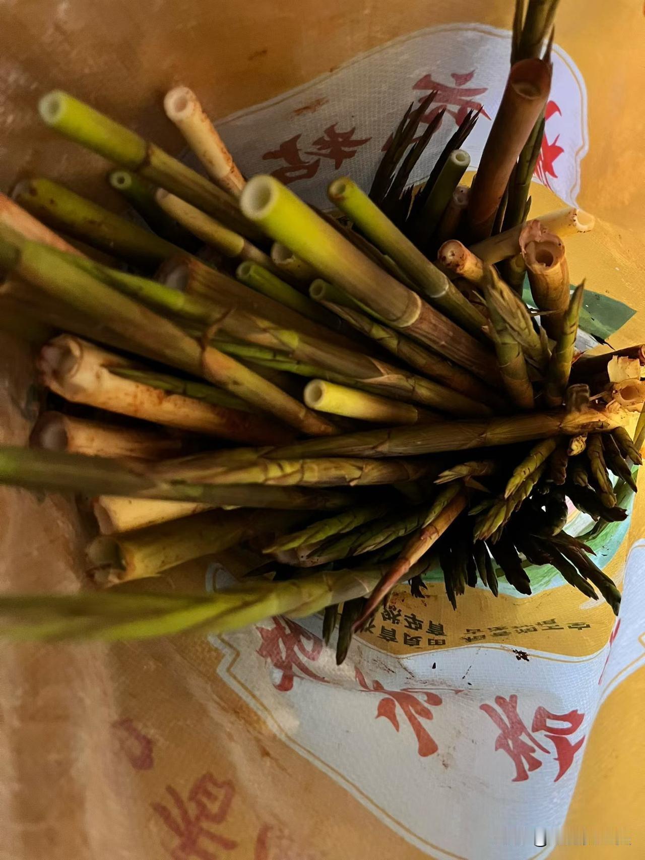 搞了一下午，收获了两大袋。
早在几天前就和表姐约好，等休息的时候一起去，要不然再