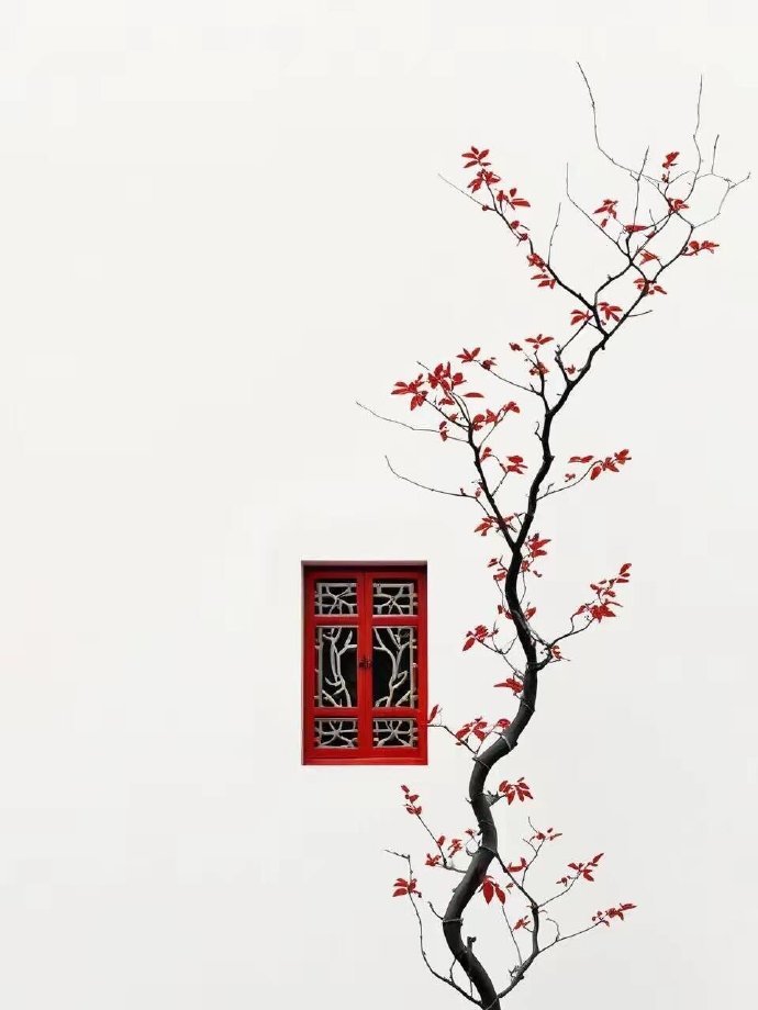 一花一世界，一叶一追随 