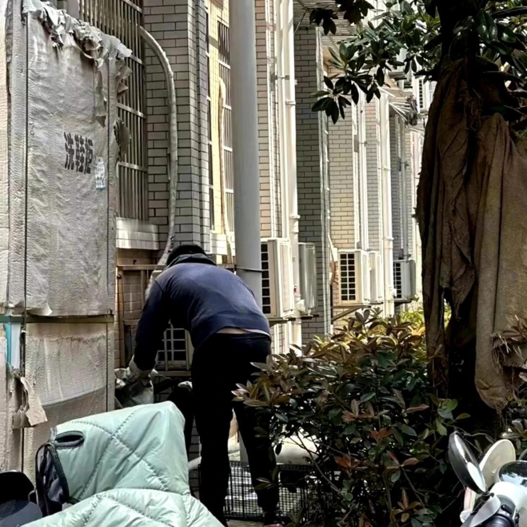 3.26中南大学虐猫学生 ——不能让他毕业
中南大学-电子信息学院  22级(2