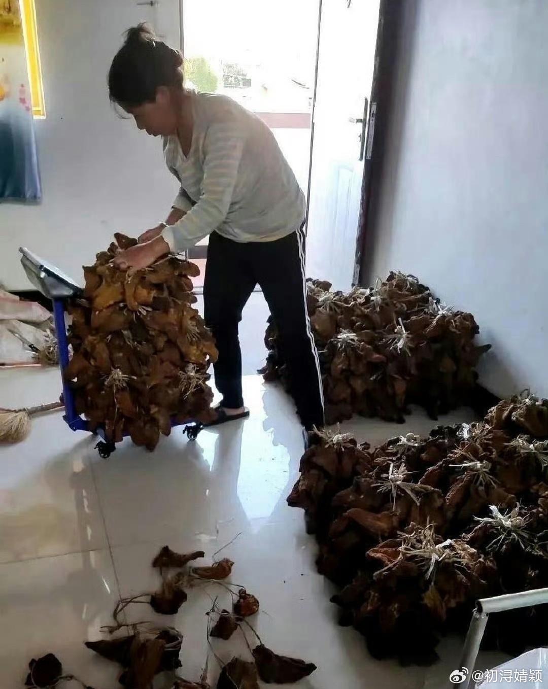 这才是真正的大户人家，太让人羡慕了 