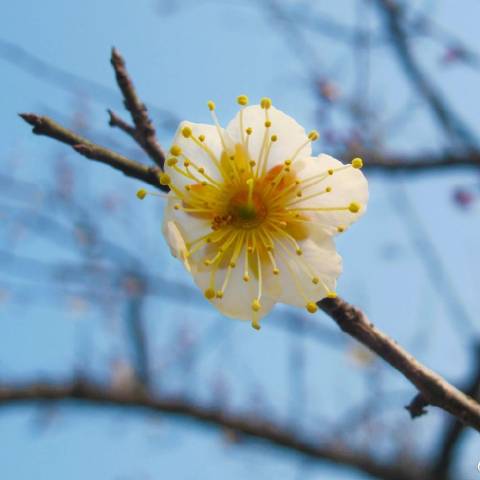 为有书香来观世界