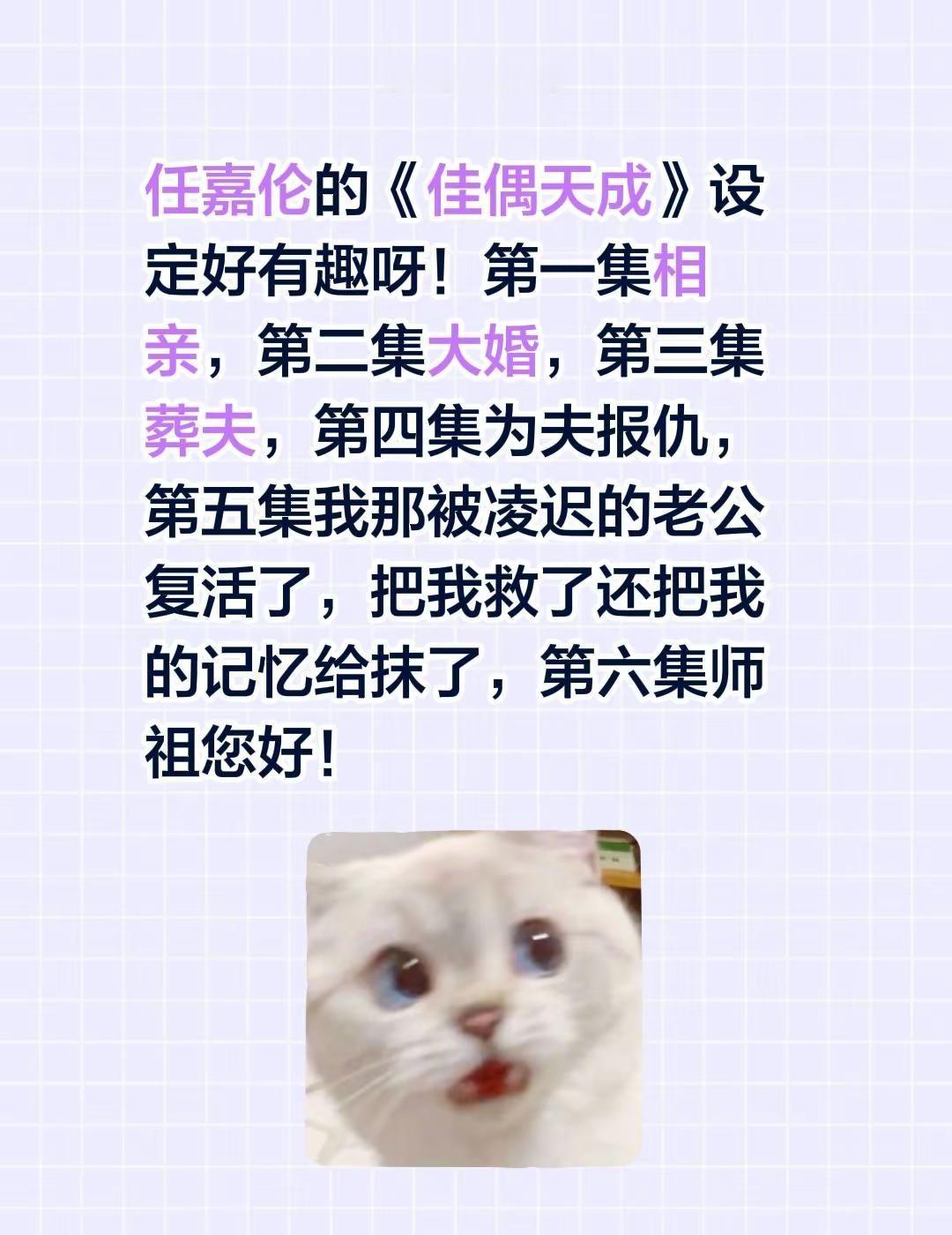任嘉伦的《佳偶天成》设定好有趣呀！第一集相亲，第二集大婚，第三集葬夫，第四集为夫