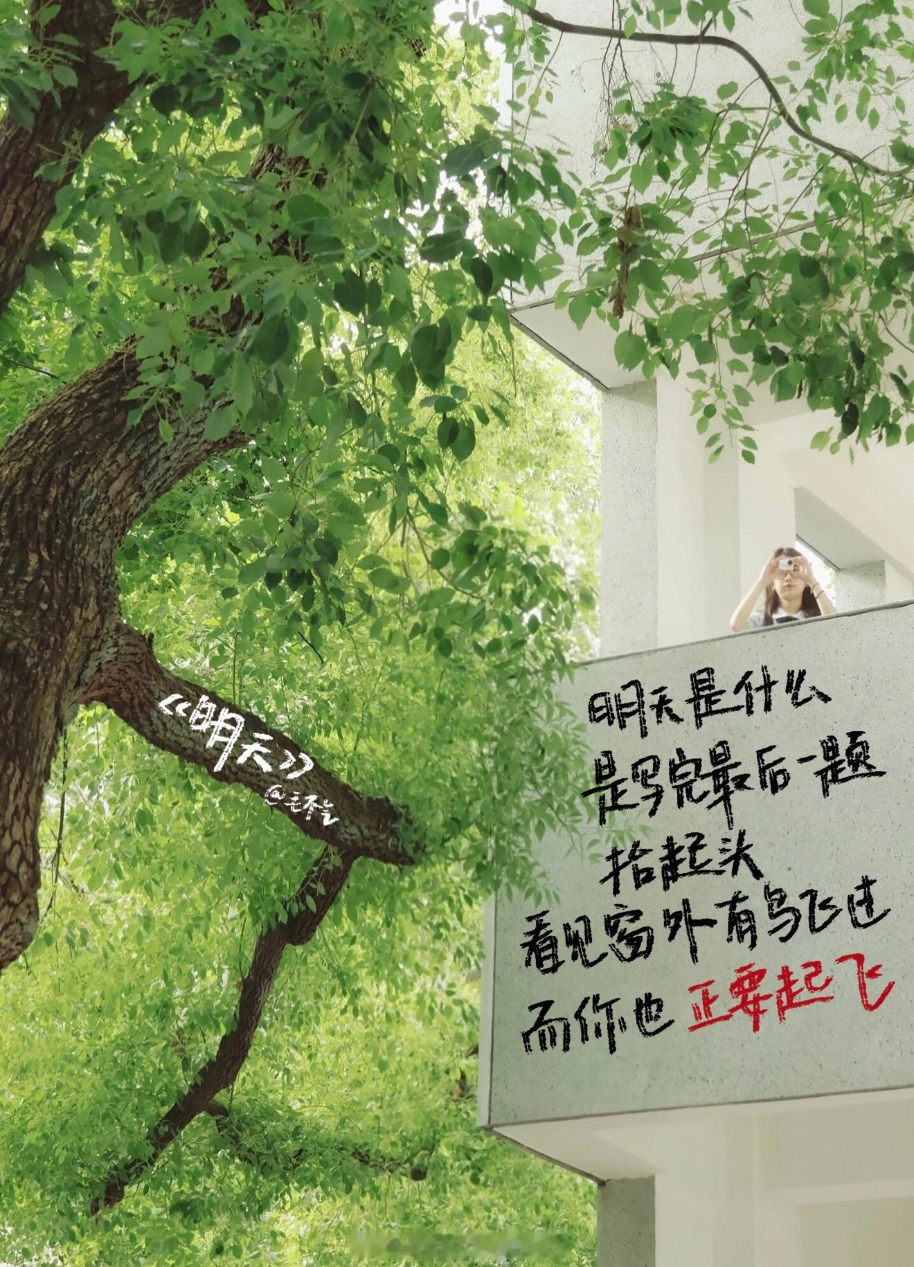 这几天看到高考的新闻，恍惚又回到考完的那个下午。没有狂喜，撕书通宵都是别人的，我
