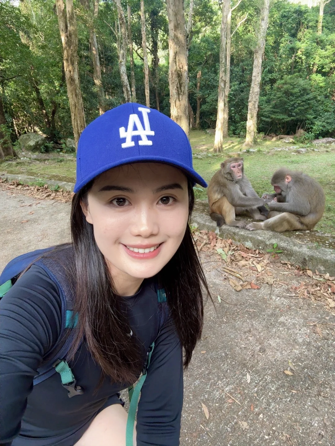 🇭🇰等雨停，一起去香港行山看猴子吧🐒