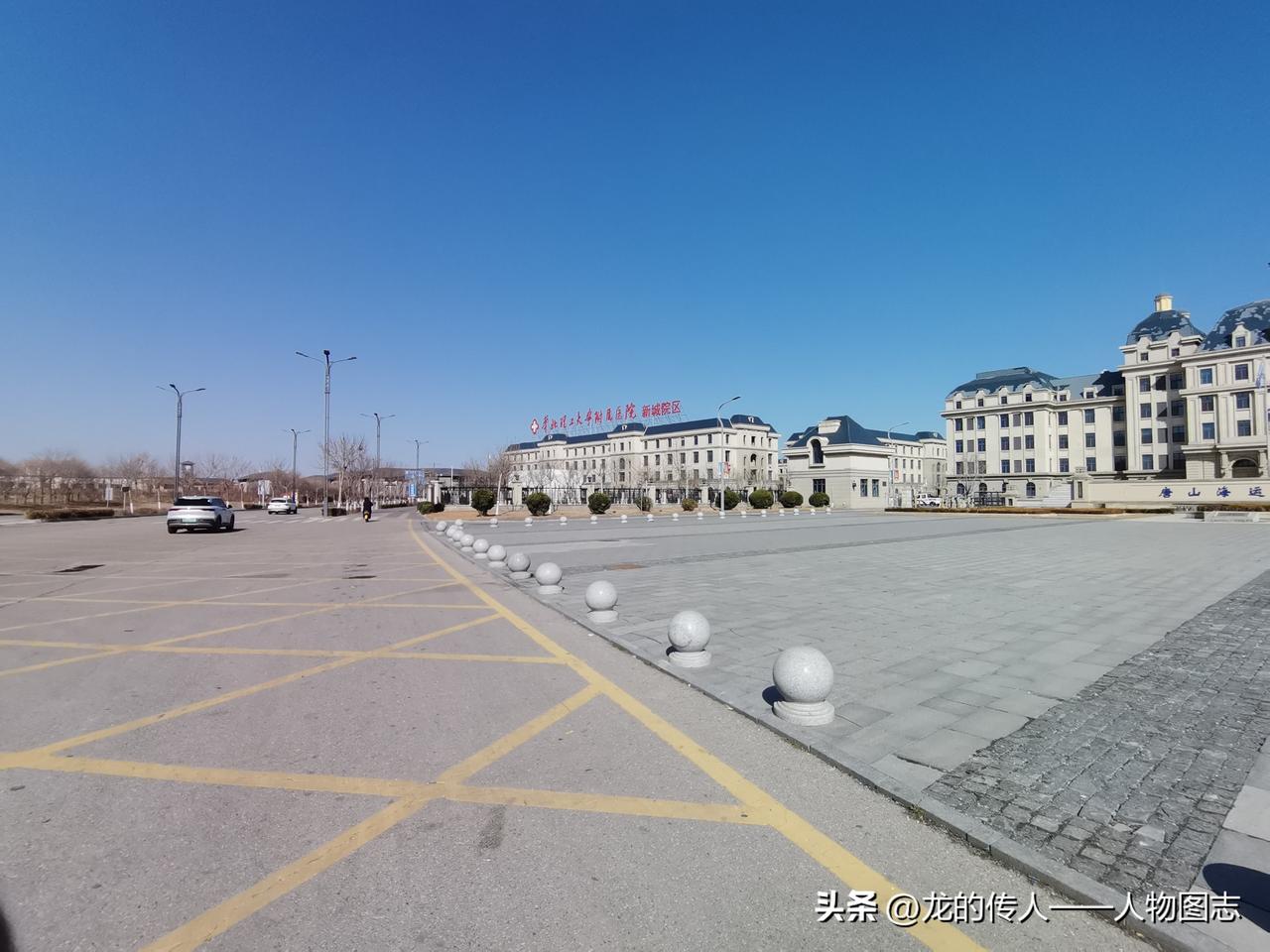 春日生活打卡季