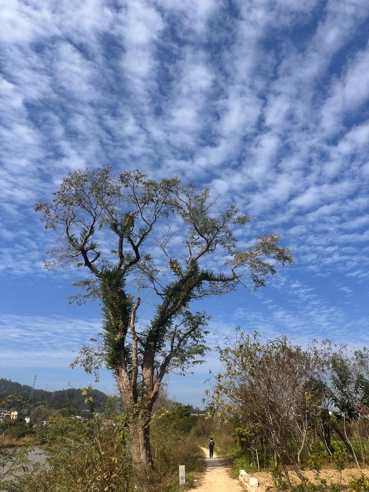 记录我的12月