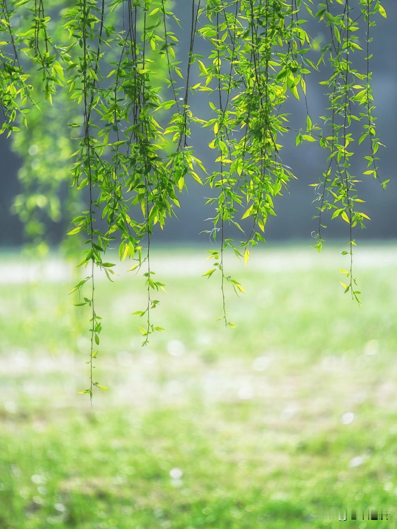未来这几年，在这几个方面，你能稳得住吗？

第一、稳住不换房，现在你的房子可能小