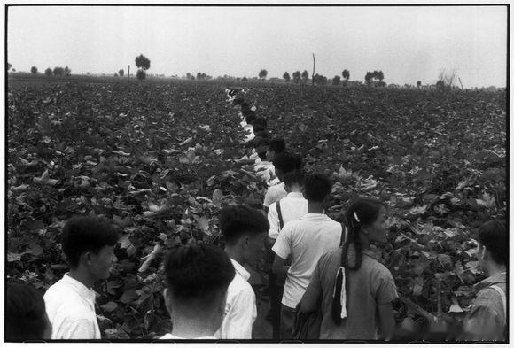 1958年的中国，摄影：布列松 