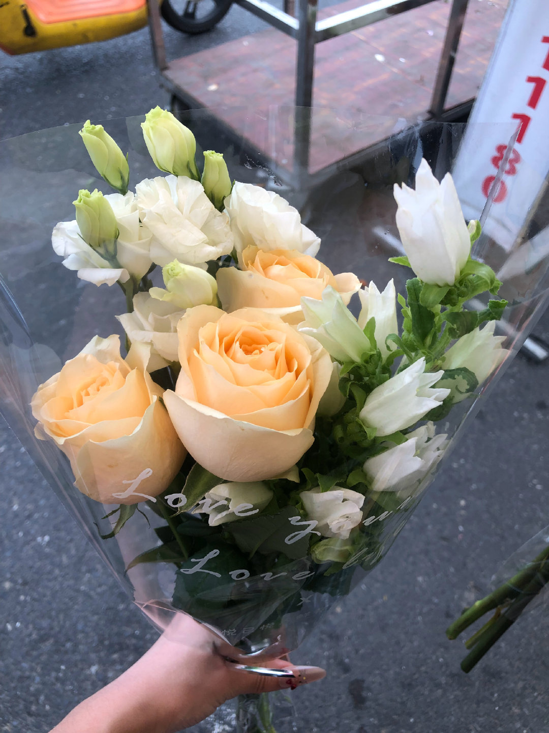风铃花