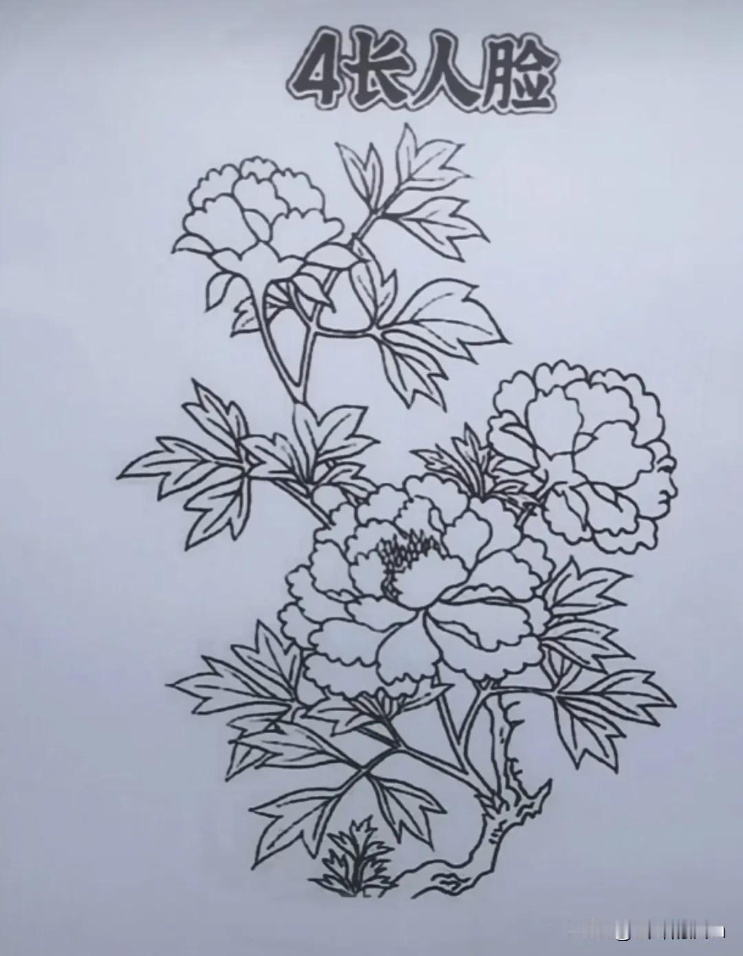 猛的一看就是一枝花，细看很明显有两张人脸，如果再细看看还有两张脸，但是最后两张人