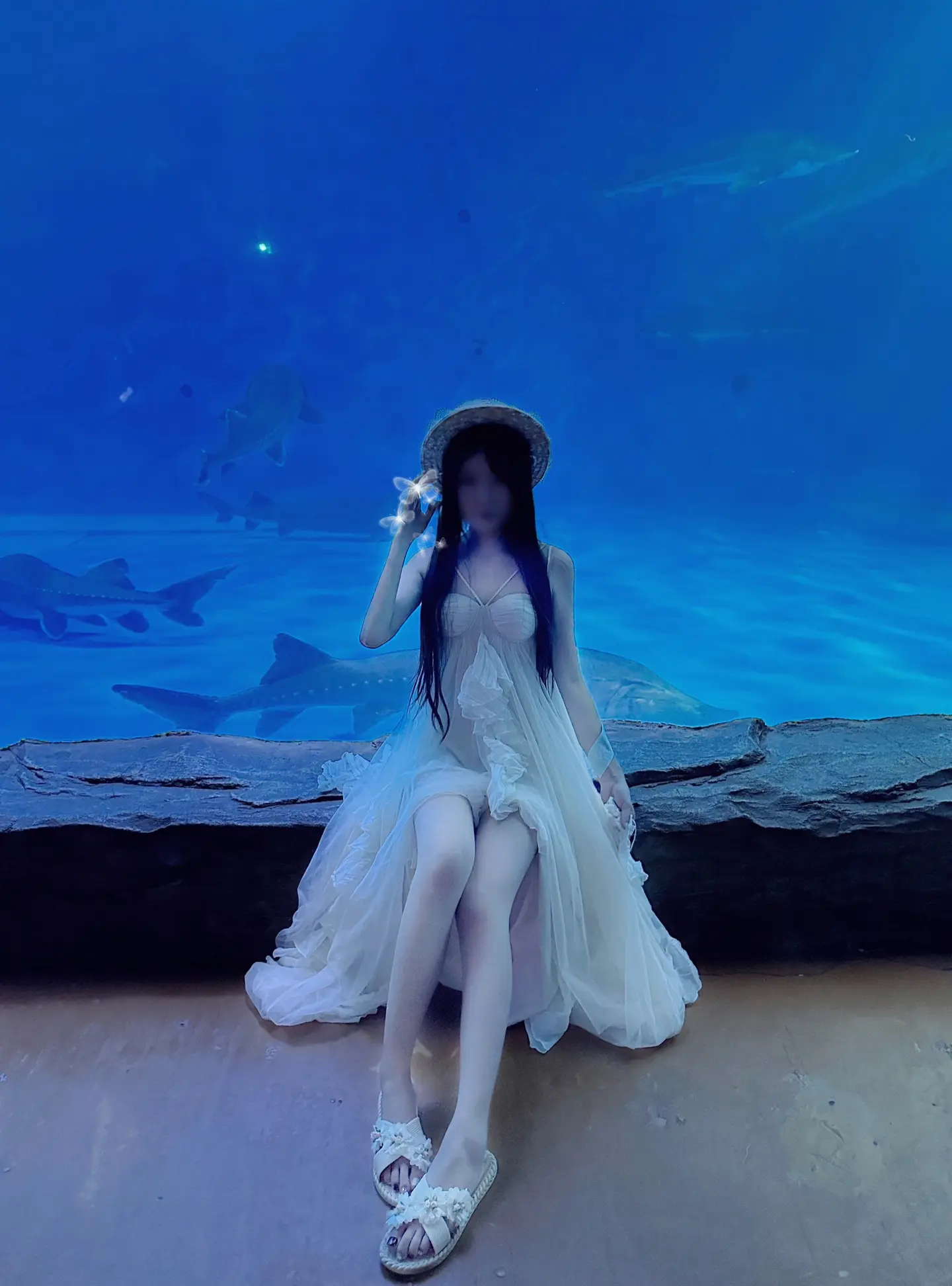˂ᵒ͜͡ᵏᵎ⁾生活鱼快𓆡