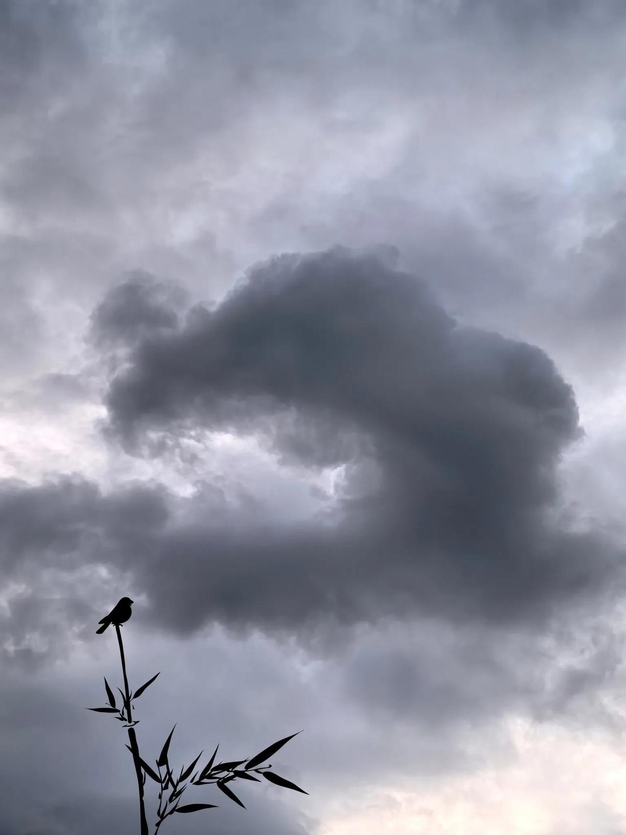暴雨前后一片天，
风云变幻梦里行。
云卷云舒，龙凤腾九天，
拨云见日，祥云照东方