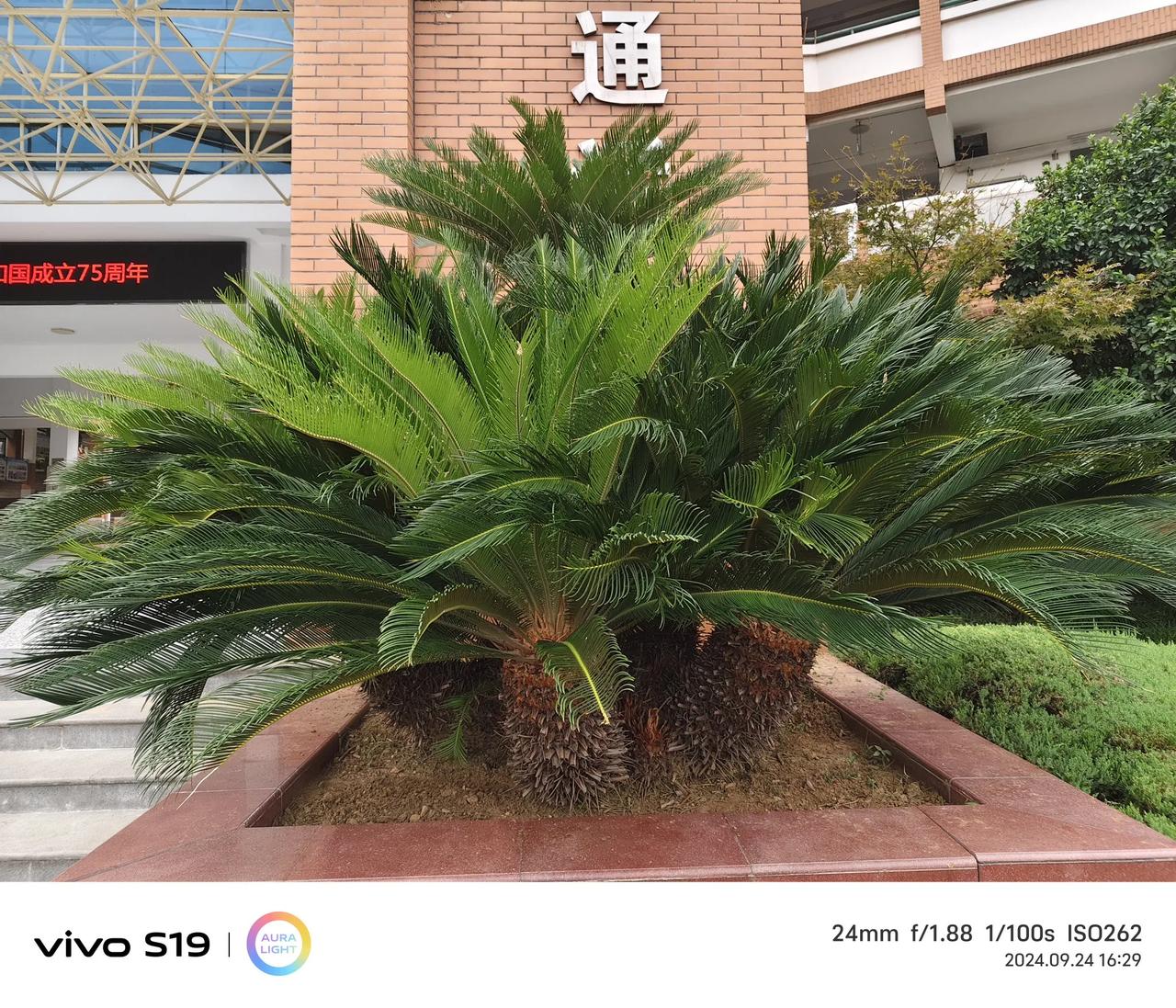 #出门去踏秋#
中秋时节又逢国庆长假，庆祝国庆的氛围越来越浓了！小伙伴们盼望着国