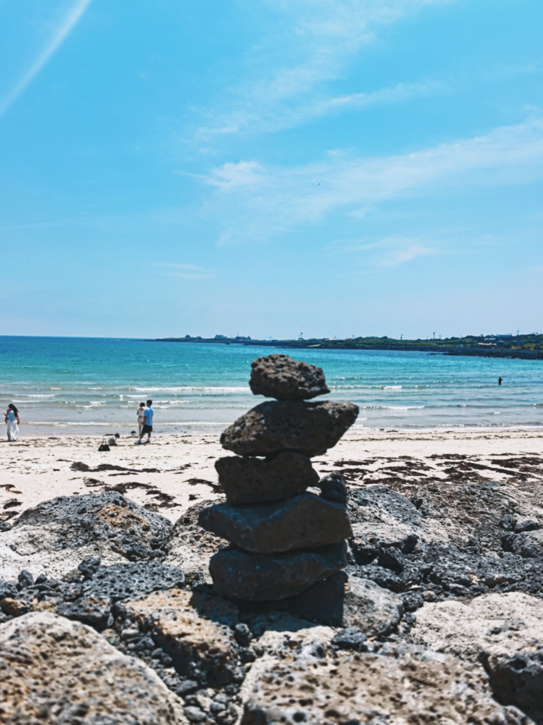 带熊来济州岛 韩国·济州岛