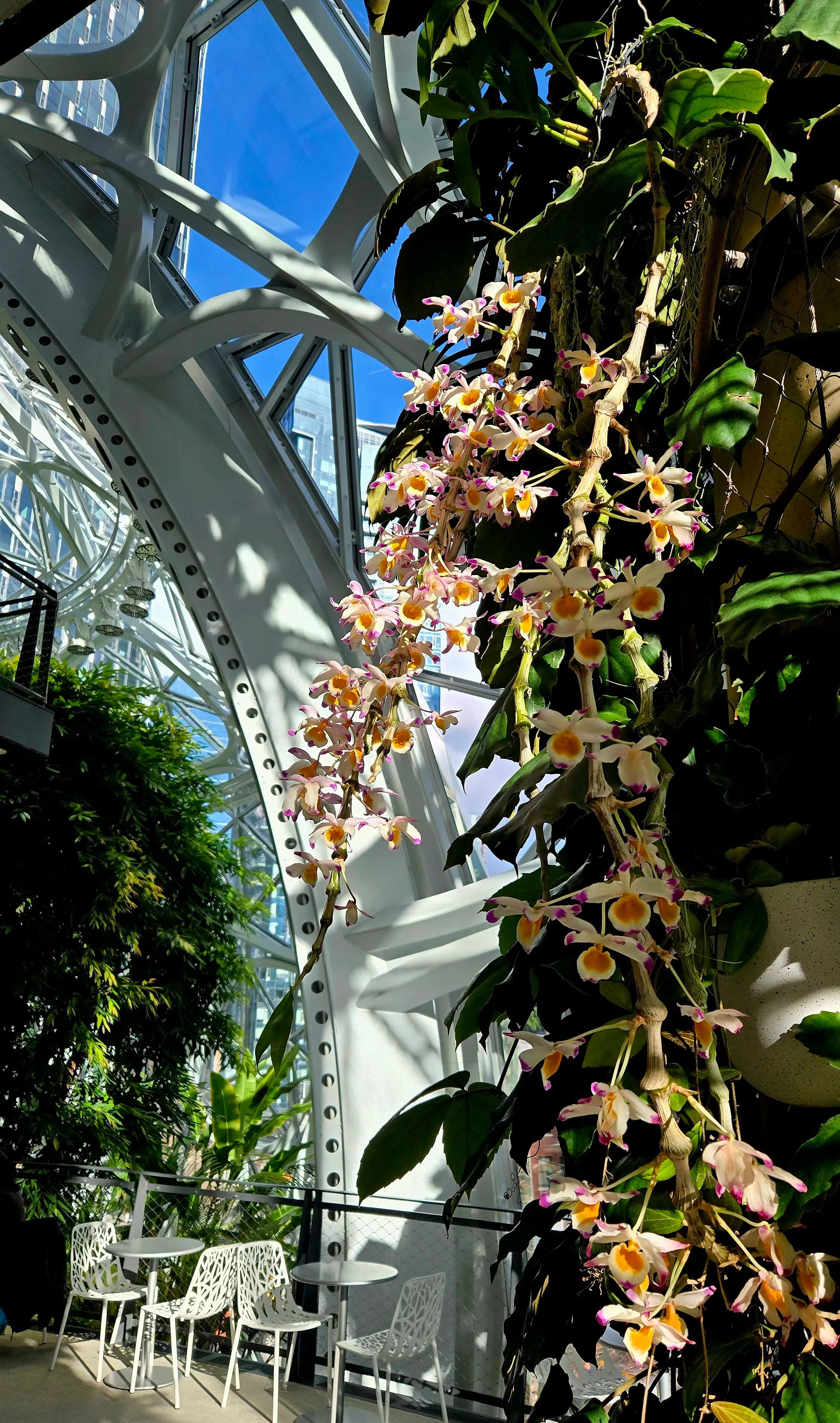 这个春节本博主老师都在硅谷调研，正月初二到他儿子工作的亚马逊公司！非常优秀的一位