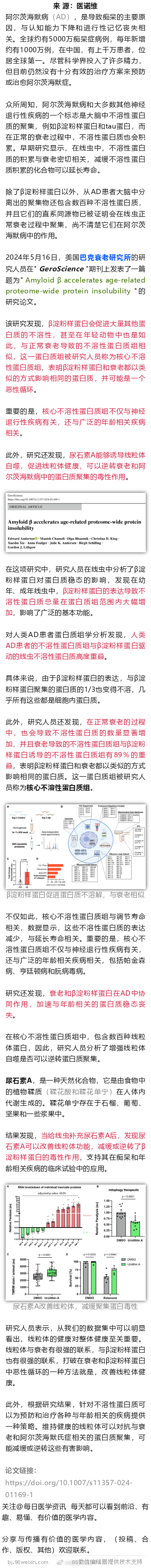 巴克衰老研究所发现，这类食物，改善线粒体健康，可逆转衰老和痴呆中的聚集蛋白毒性2