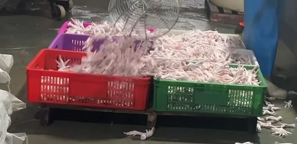 315晚会鸡爪批塌房了 