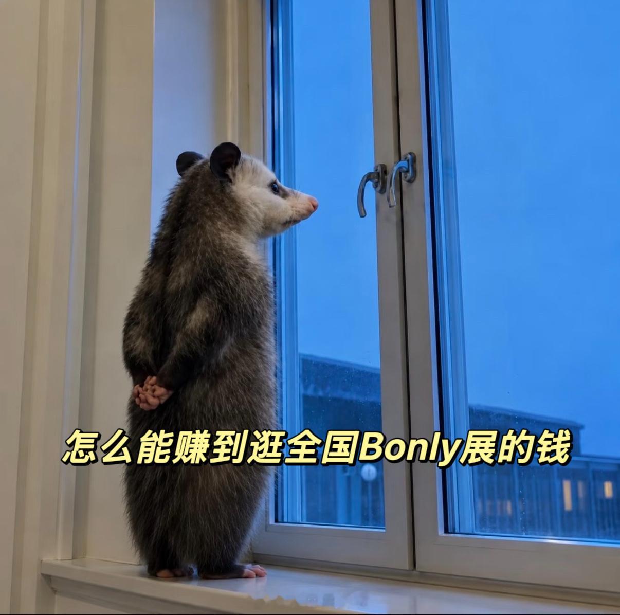 动漫同人女一觉醒来天亮了一次官宣百场only展什么体验 小电视BOnly搞大事了