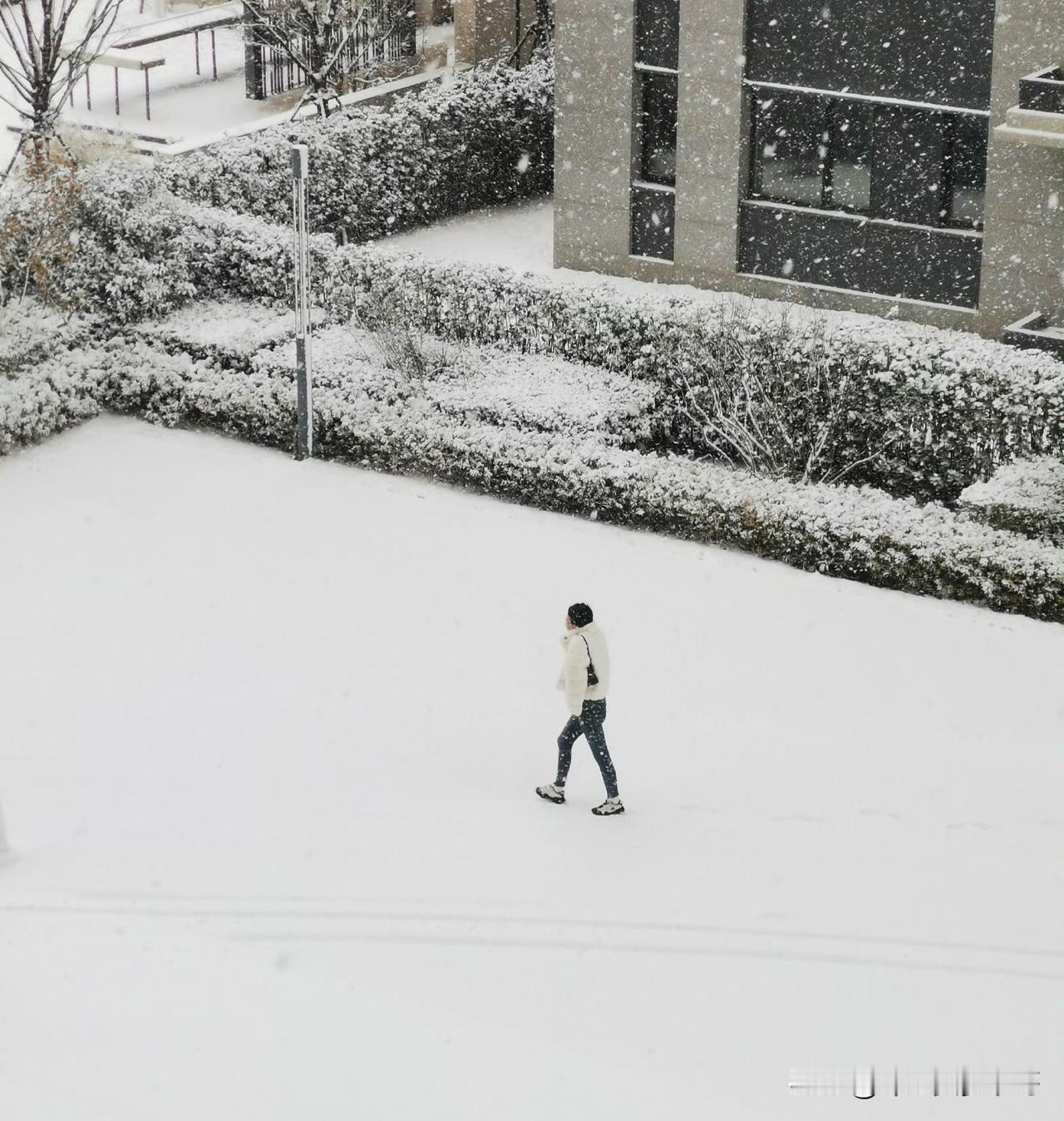 烟台的朋友们
听说你们那里下雪了，是真的么
俺们大青岛一丝儿云都没有
这到底是咋