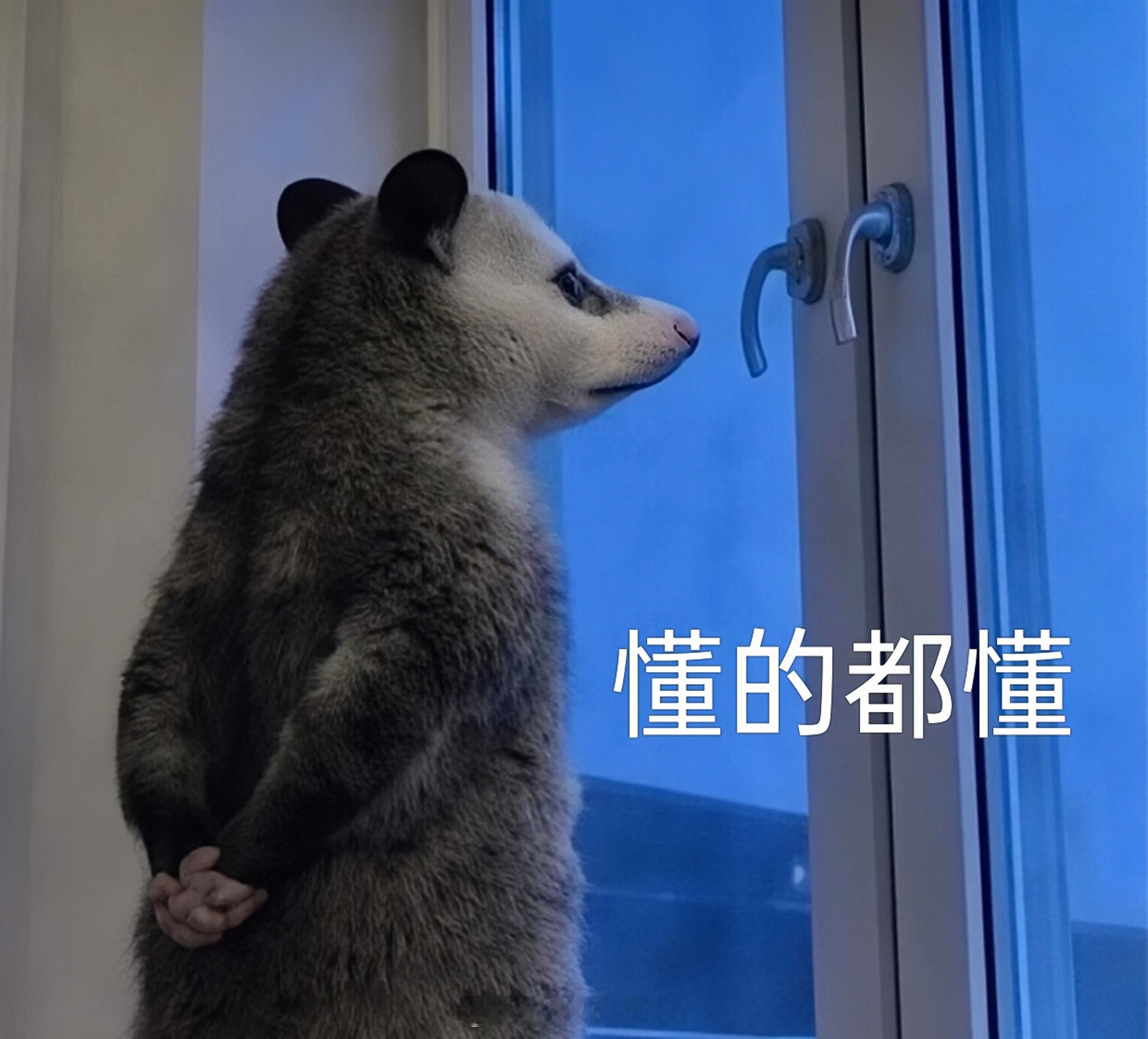 年轻人一定要对钱有概念管他呢？钱没了再赚，又不是赚不到~ 没亏待自己不就行了 人