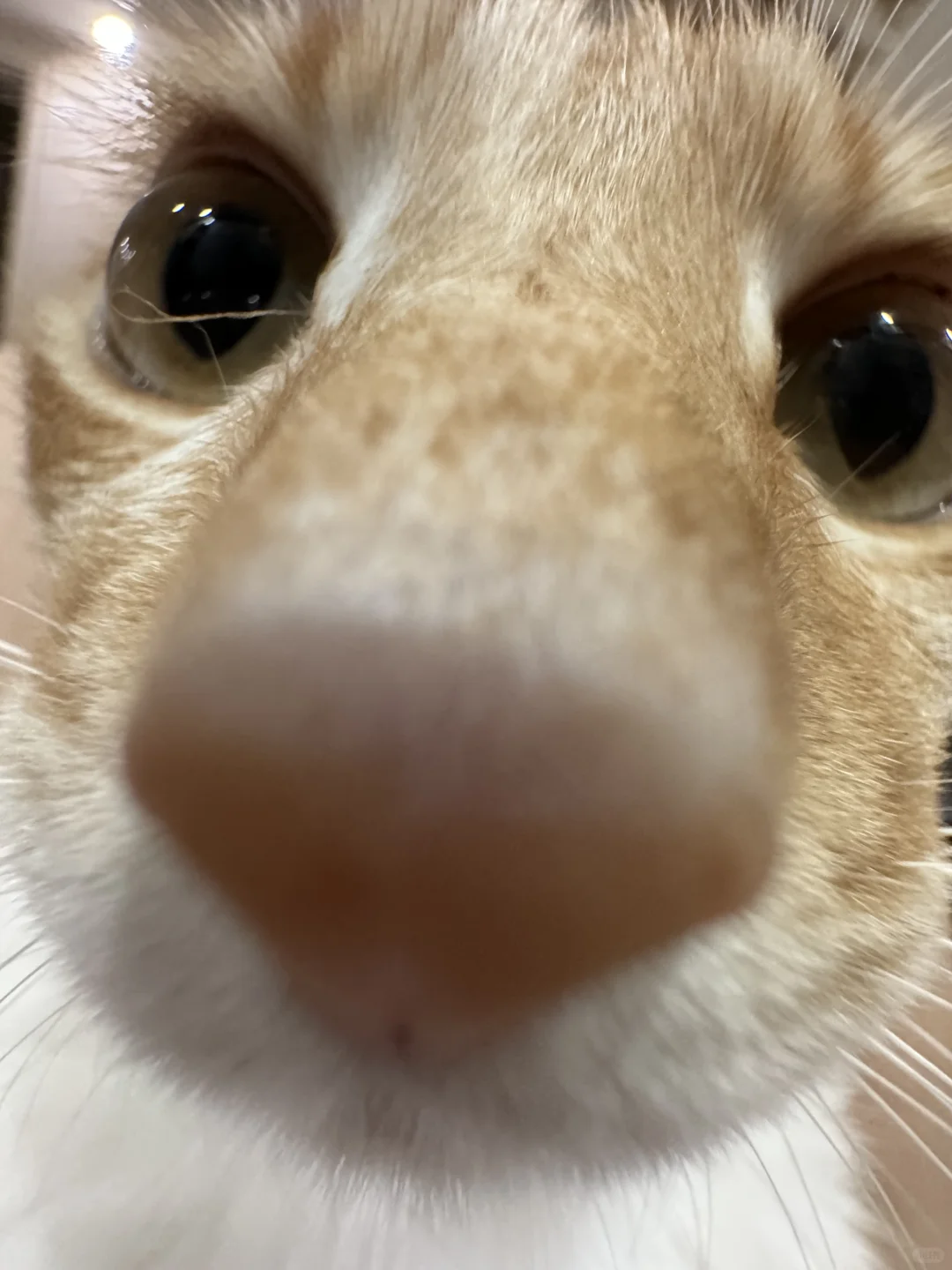 人，你可以和我说悄悄话