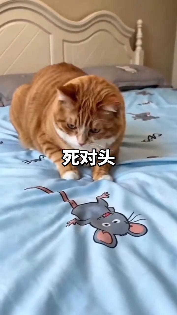 死对头。