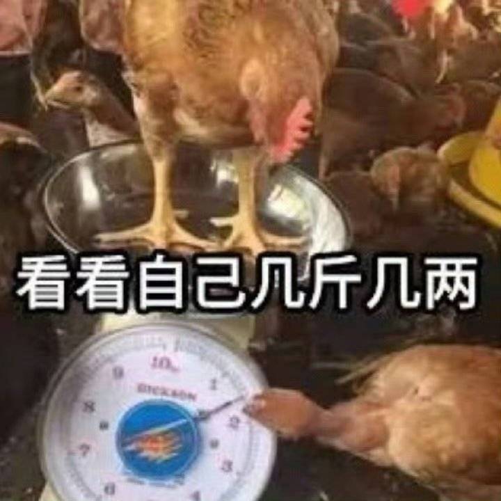 分享图片 ​​​