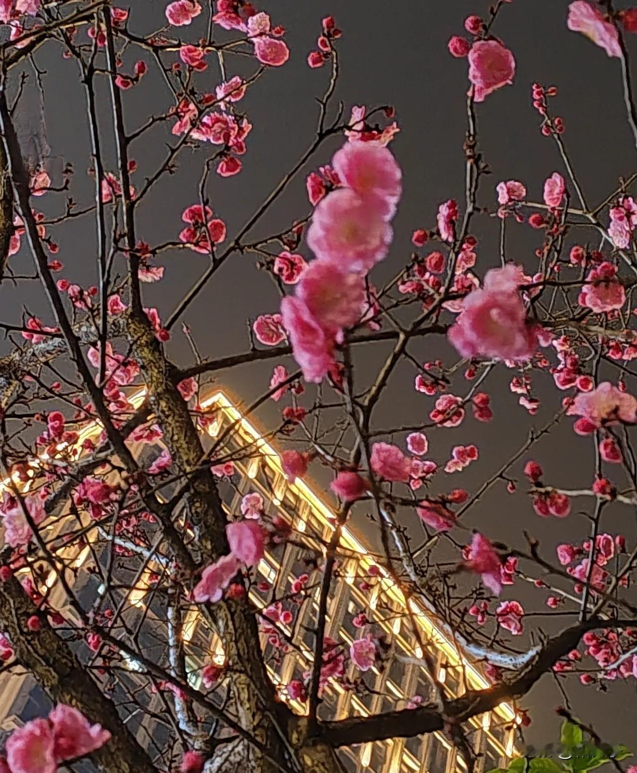 除夕下午逛完街回家。刚下公交车，忽然发现，我把购物袋忘车上了！

公交车已经开出