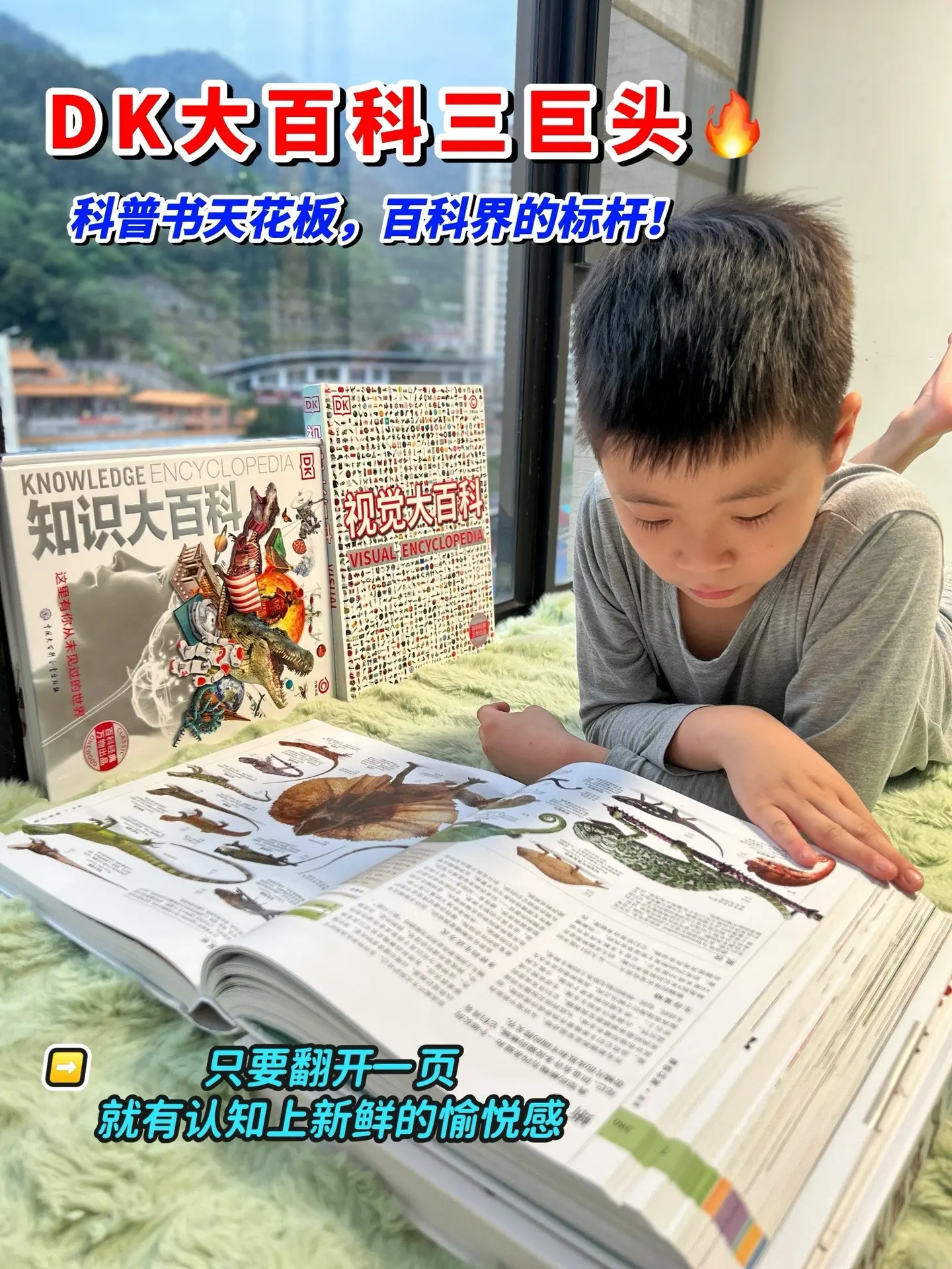 DK大百科三巨头🔥。可算是科普界的标杆，百科经典中的经典。 作为一家...
