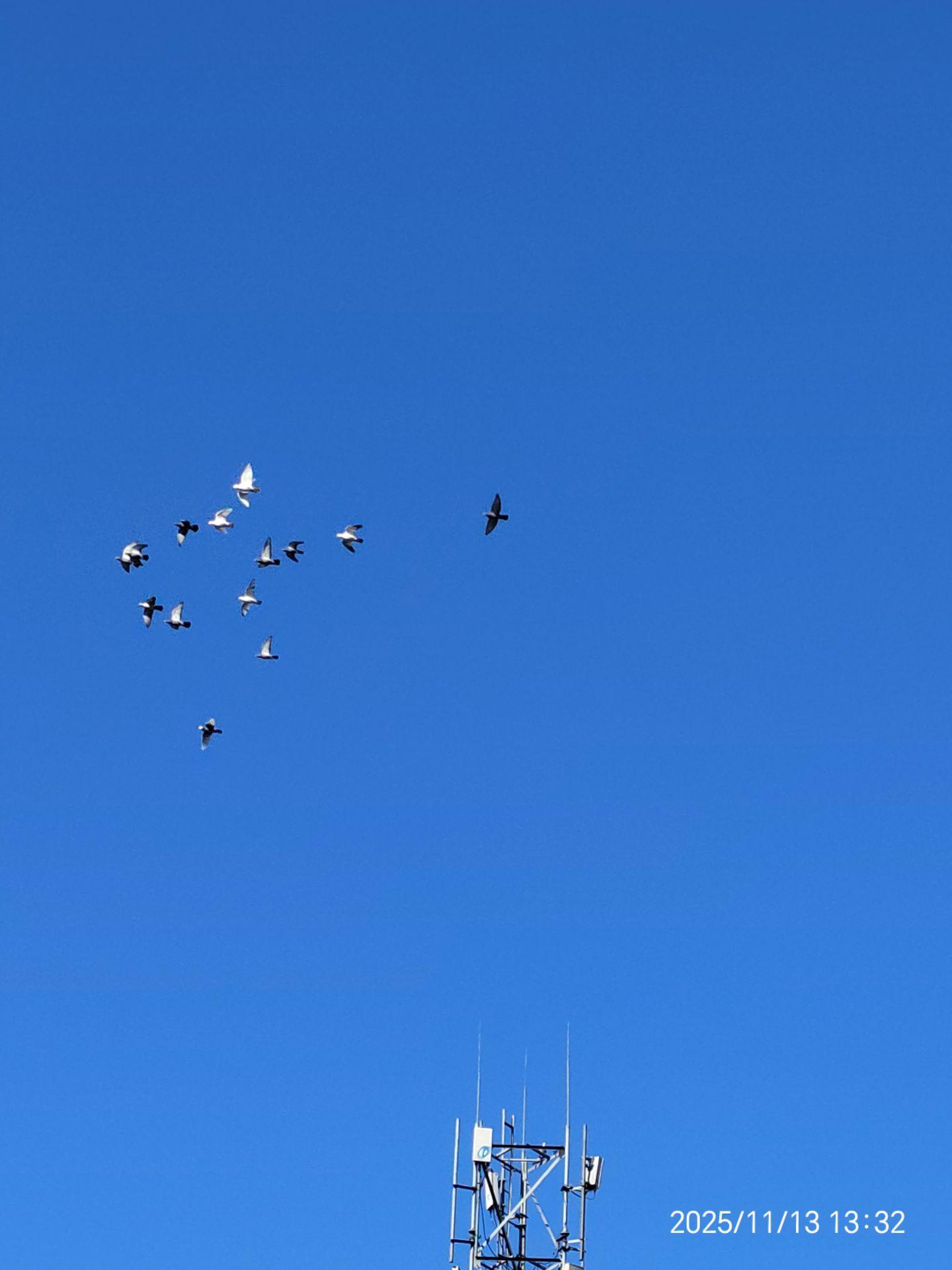 惊叹和敬畏的注视一切存在之物。 包括我自己