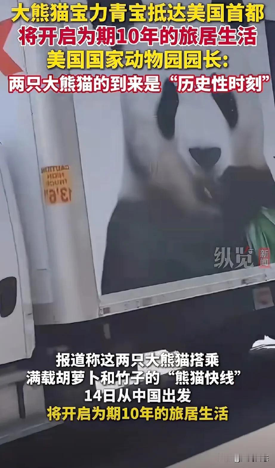 十四日两只大熊猫从中国出发。十五日抵达送到美国首都纽约，国家动物园，开始十年的期