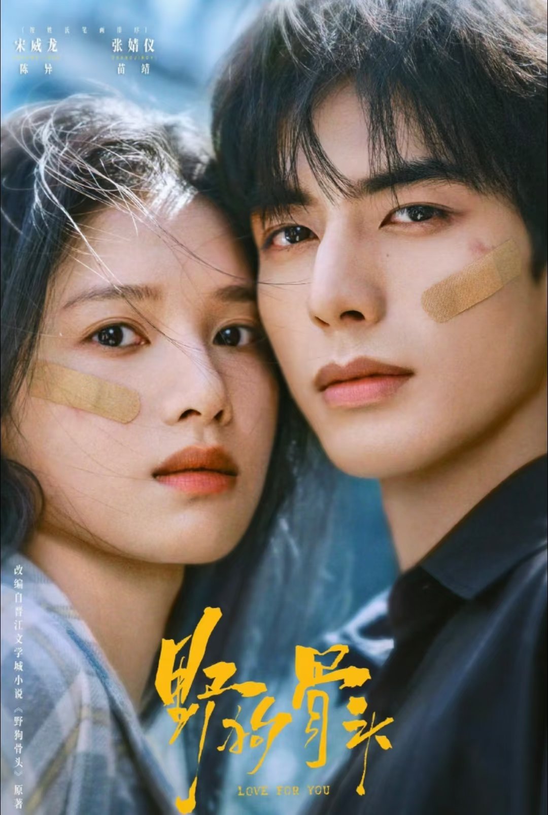 最火6部热播剧排名：第6名：《小芳》主演：王影璐、辛云来第5名：《千香》主演：宋