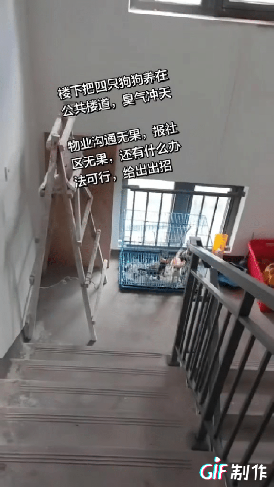 这种邻居怎么解决？物业不问，把公共楼道当成他养狗的地方，整个楼道都是臭味，遇到这