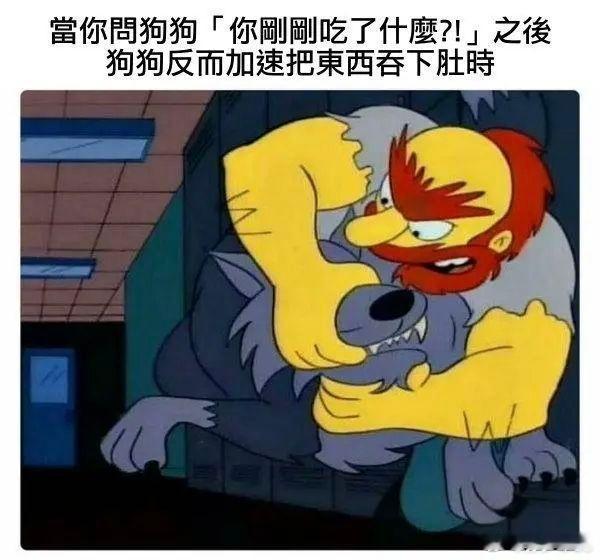 前一条转发四度演员观点的微博被举报掉了有点离谱 不对，是两条都被举报掉了，更离谱