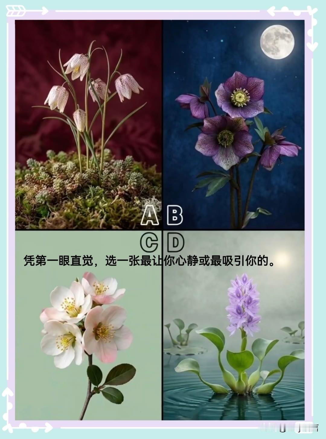汽车时代观察凭第一眼直觉，选一张最让你心静或最吸引你的。