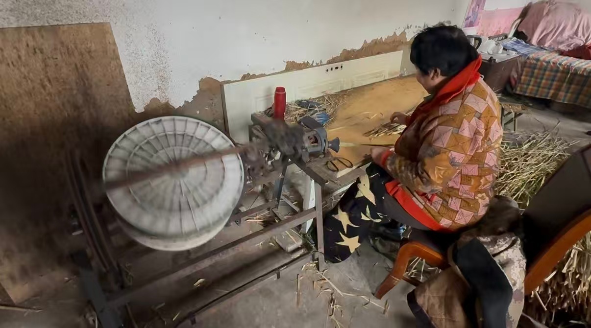 秦岭笑谈 【农户行为意愿视角下黄河流域山东段秸秆资源化利用方式影响因素研究】青春