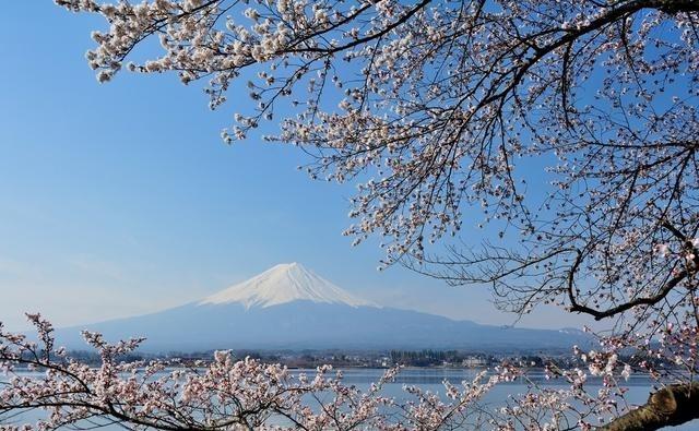 建议还是以后景中的雪山作为主体，准确曝光、拍实。
很多人拍风景时都会遇到一个问题
