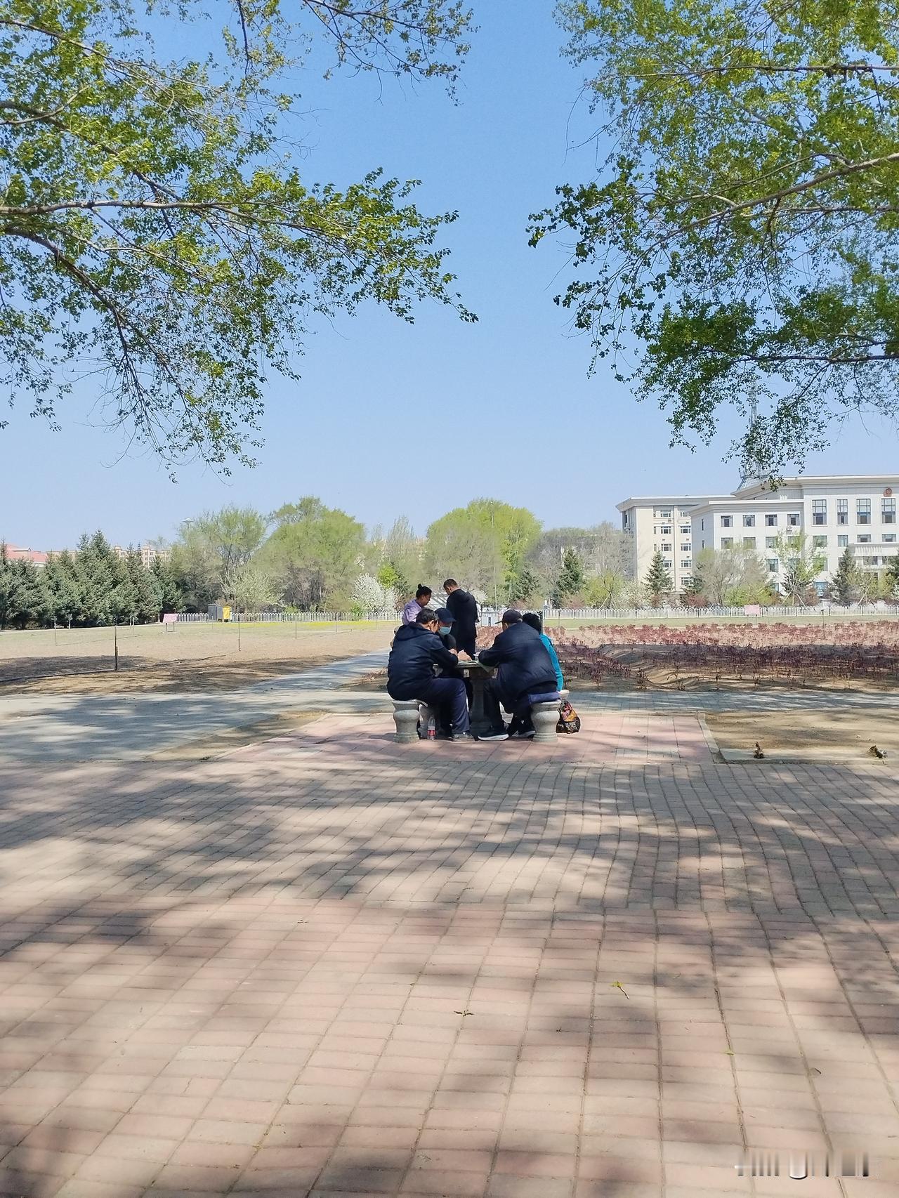 免费领鸡蛋的骗局，为何屡屡得手呢？
   最重要的原因是，上当者心里有占小便宜的