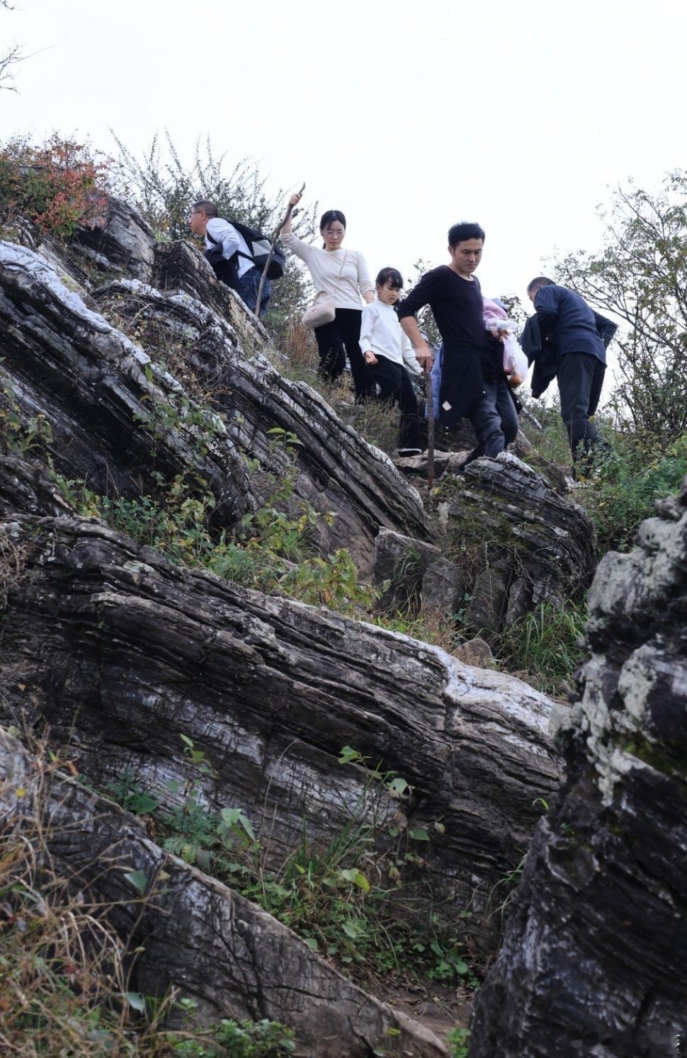 到一定岁数，大家不约而同开始把身体健康当作人生第一要务。今日挑战从紫薇园徒步登顶