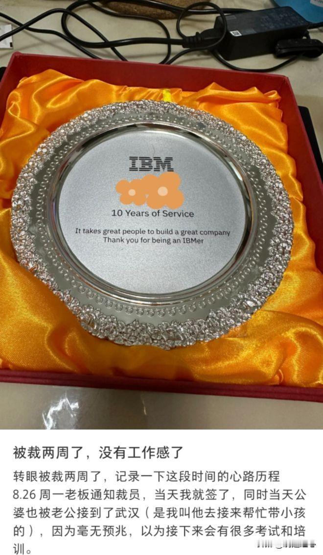 太难了，IBM10年老员工被裁后：基本没有符合的工作，别人只要35岁以下的！这位