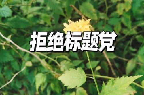 如今网上标题党早已随处可见，为了流量刻意夸大事实、编造冲突、断章取义，不仅误导读