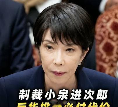 《制裁小泉进次郎！日本防相的反华挑衅必须付出代价》播放量：1.8万
点赞量：61