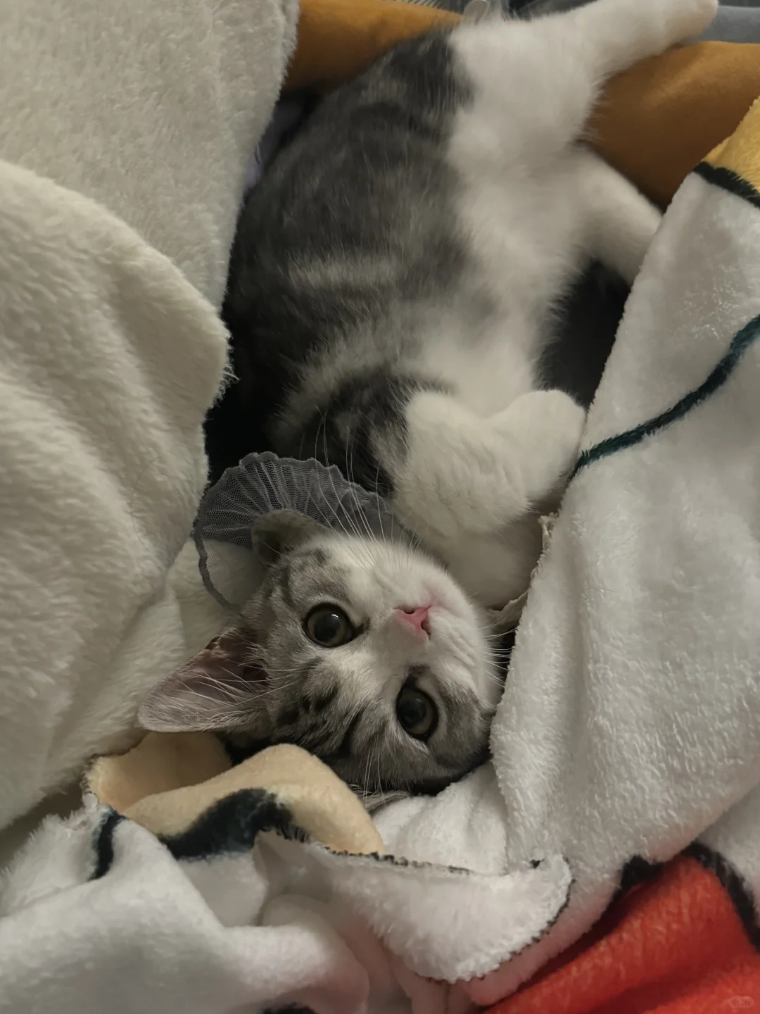 好喜欢睡麻麻旁边