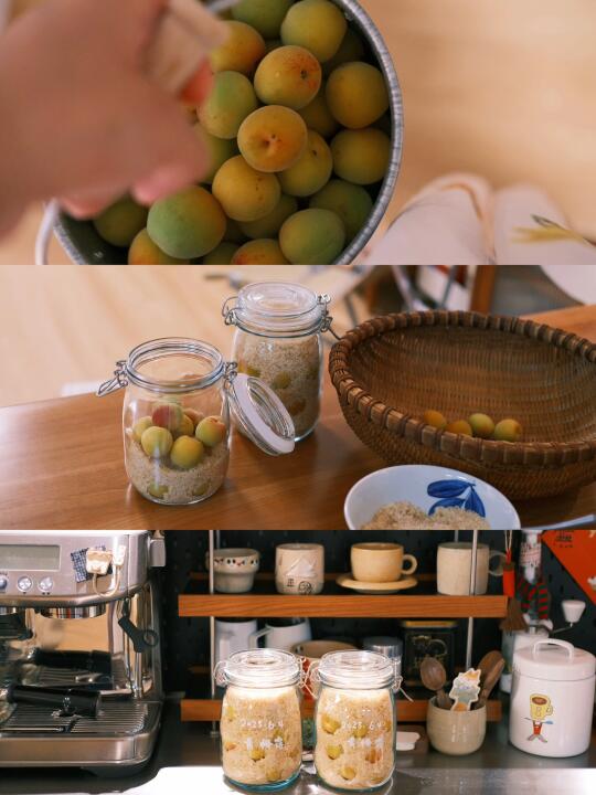 黄梅天和黄梅露🫧