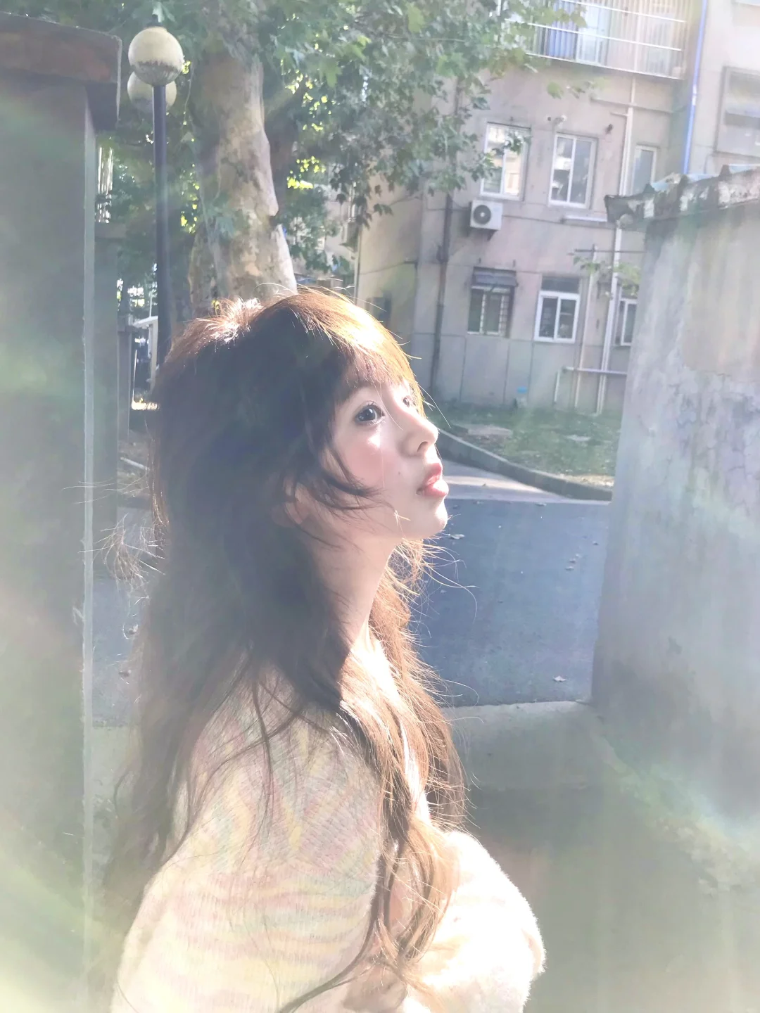 明媚的秋º ·˚🍂🫧