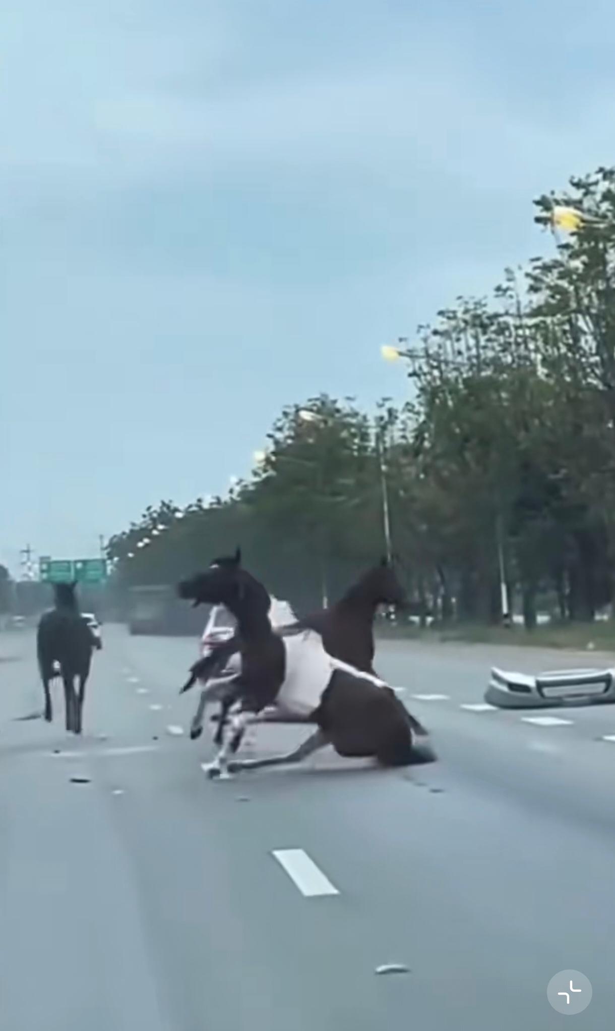 汽车全责，未按规定道路行驶，因为这是马路。车速不算快，但杀伤力十足。人仰马翻，惯